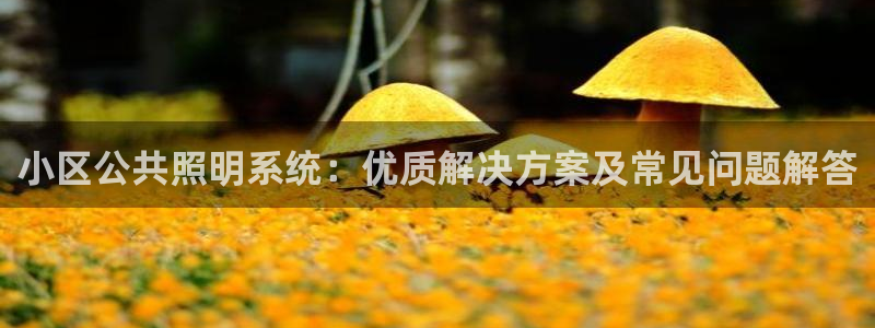 千亿国际怎么下载啊：小区公共照明系统：优质解决方案及常见问题解答
