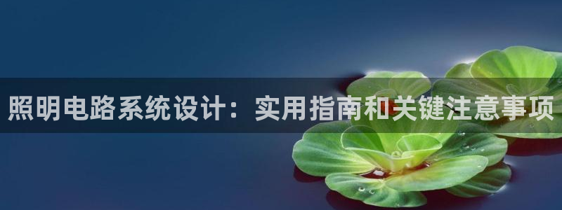 千亿国际服:照明电路系统设计:实用指南和关键注意事项
