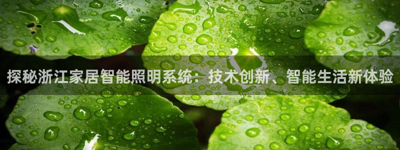 千亿国际黑吗：探秘浙江家居智能照明系统：技术创新、智能生活新体验