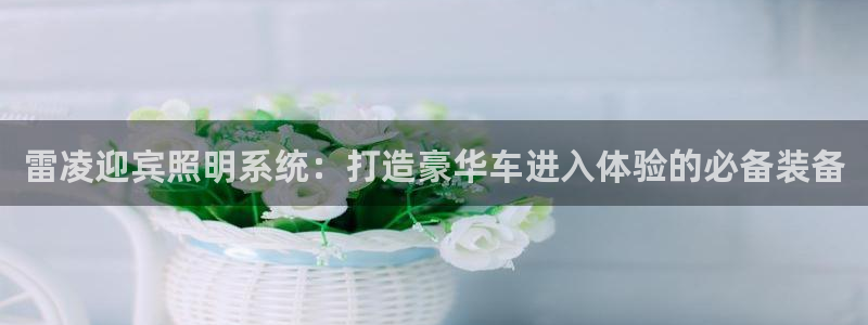 千亿国际qy996:雷凌迎宾照明系统:打造豪华车进入体验的必备装备