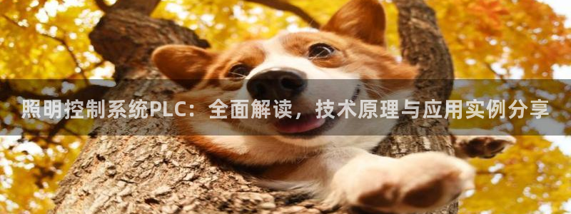 千亿国际平台是真是假呀:照明控制系统PLC:全面解读,技术原理与应用实例分享