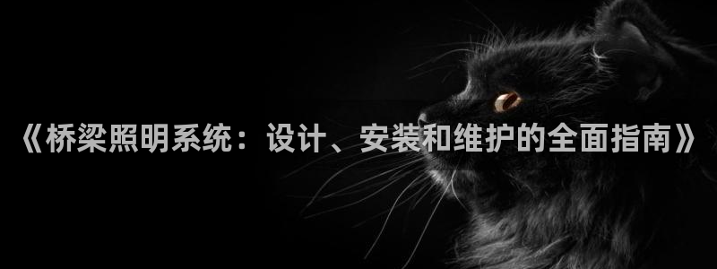 千亿国际平台怎么样知乎:《桥梁照明系统:设计、安装和维护的全面指南》