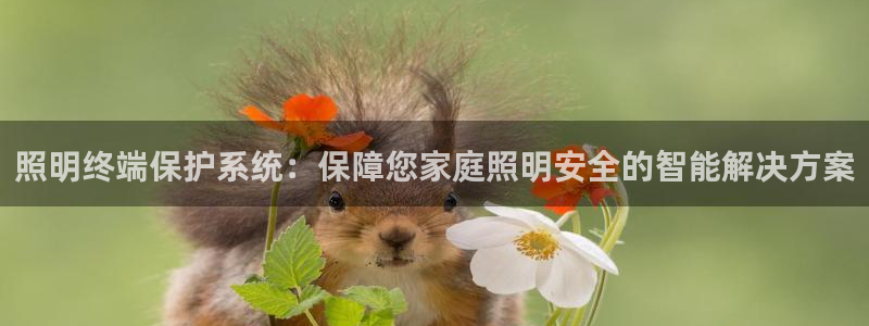 千亿国际的游戏怎么样知乎:照明终端保护系统:保障您家庭照明安全的智能解决方案