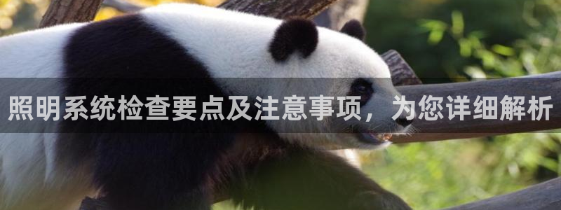 千亿国际平台还存在吗：照明系统检查要点及注意事项，为您详细解析