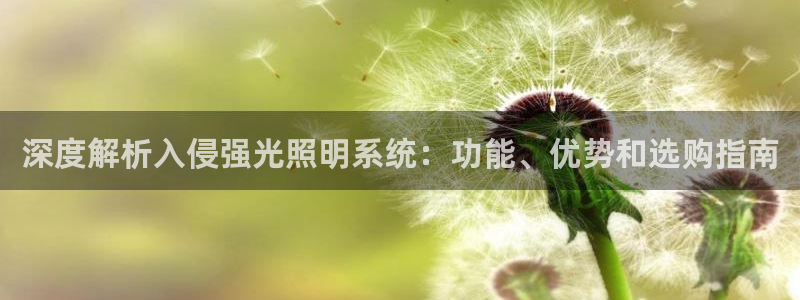 千亿国际手机版app下载安装:深度解析入侵强光照明系统:功能、优势和选购指南