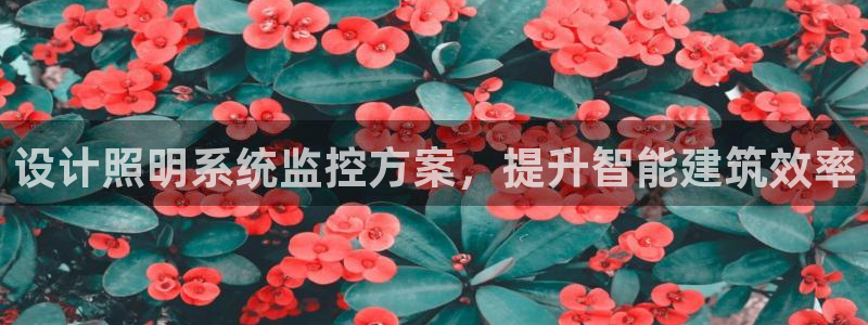 千亿国际集团:设计照明系统监控方案,提升智能建筑效率