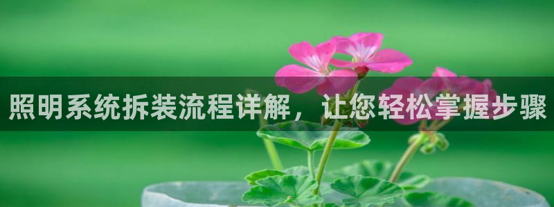 千亿国际手机登录版：照明系统拆装流程详解，让您轻松掌握步骤