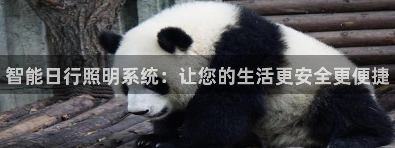 千亿国际芯片：智能日行照明系统：让您的生活更安全更便捷
