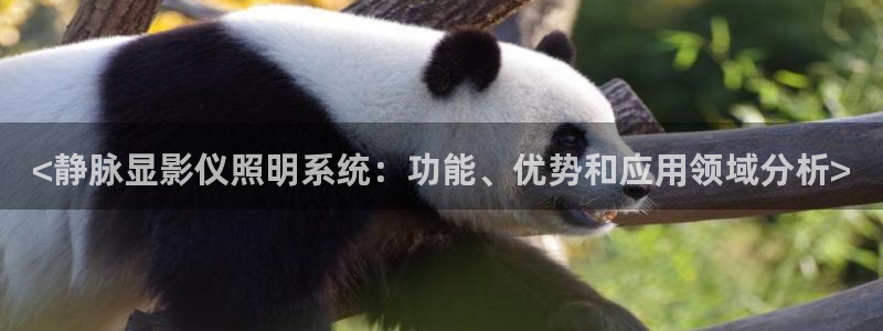千亿国际打彩是真的吗知乎：<静脉显影仪照明系统：功能、优势和应用领域分析>
