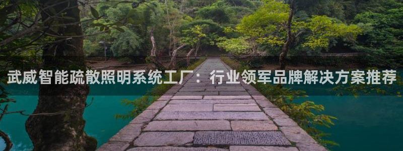 千亿国际黑吗:武威智能疏散照明系统工厂:行业领军品牌解决方案推荐