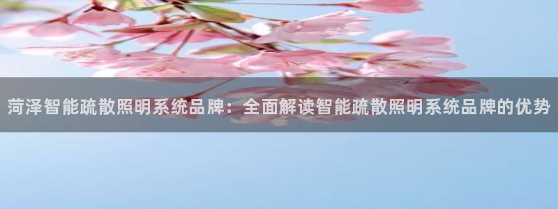 千亿国际唯一手机官网:菏泽智能疏散照明系统品牌:全面解读智能疏散照明系统品牌的优势