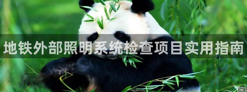千亿国际pt游戏有哪些:地铁外部照明系统检查项目实用指南