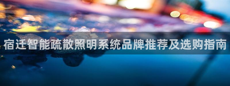 千亿国际是什么平台公司:宿迁智能疏散照明系统品牌推荐及选购指南