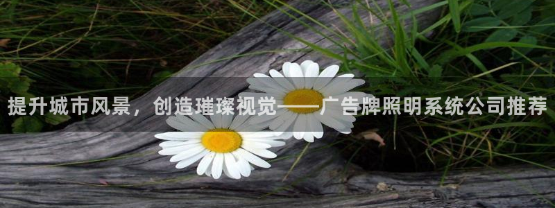 千亿国际pt游戏：提升城市风景，创造璀璨视觉——广告牌照明系统公司推荐