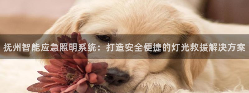 千亿国际芯片上市公司:抚州智能应急照明系统:打造安全便捷的灯光救援解决方案