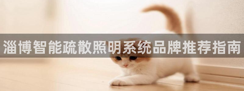 千亿国际公司网址查询:淄博智能疏散照明系统品牌推荐指南