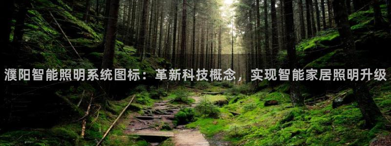 千亿国际2021官方网站baoli5.10：濮阳智能照明系统图标：革新科技概念，实现智能家居照明升级