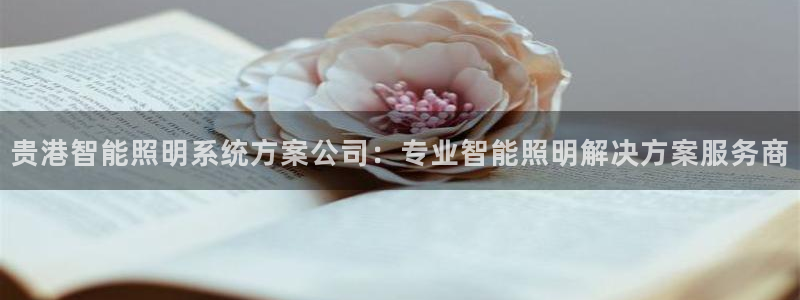 千亿国际跟盛辉是一家的吗:贵港智能照明系统方案公司:专业智能照明解决方案服务商