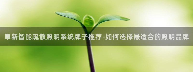 千亿国际唯一官方网站登录:阜新智能疏散照明系统牌子推荐-如何选择最适合的照明品牌