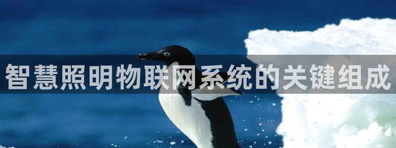 千亿国际手机登录版下载:智慧照明物联网系统的关键组成