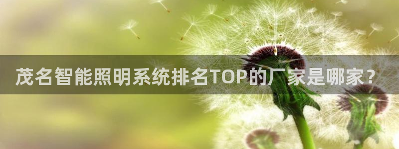 千亿国际在线新闻资讯：茂名智能照明系统排名TOP的厂家是哪家？