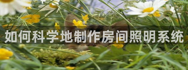 千亿国际2021官方网站baoli4.15:如何科学地制作房间照明系统