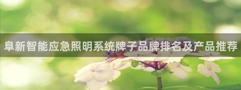 千亿国际2021官方网站baoli5.10:阜新智能应急照明系统牌子品牌排名及产品推荐