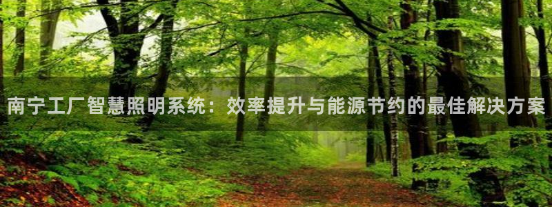 千亿国际平台是真是假呀:南宁工厂智慧照明系统:效率提升与能源节约的最佳解决方案
