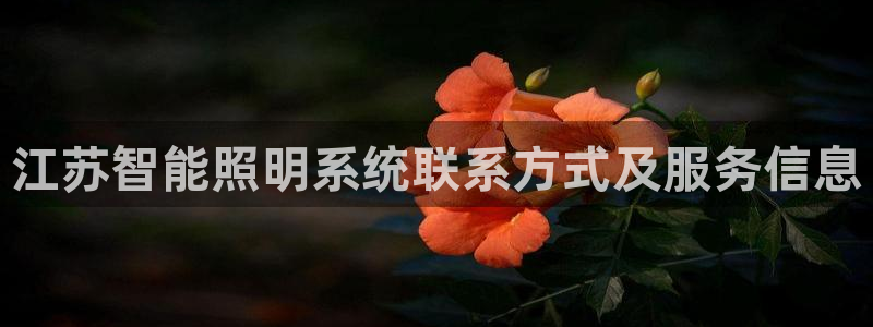 千亿国际唯一平台：江苏智能照明系统联系方式及服务信息