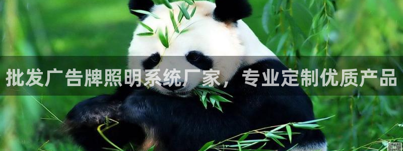 千亿国际官方网站入口：批发广告牌照明系统厂家，专业定制优质产品