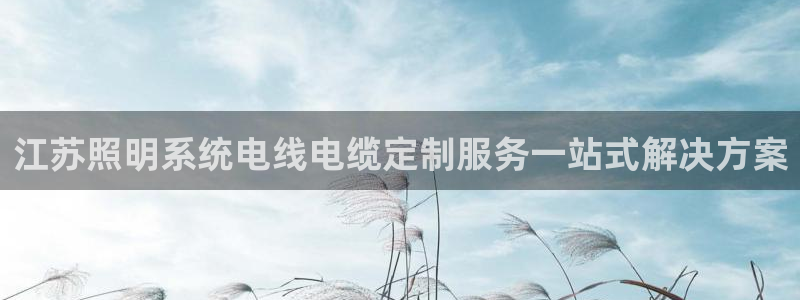 千亿国际平台还存在吗安全吗：江苏照明系统电线电缆定制服务一站式解决方案