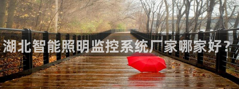 千亿国际怎么下载啊：湖北智能照明监控系统厂家哪家好？