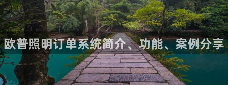 千亿国际诈骗：欧普照明订单系统简介、功能、案例分享
