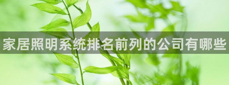 千亿国际公司网址是多少:家居照明系统排名前列的公司有哪些