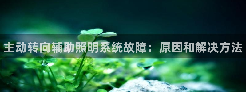 千亿国际希沃赋能教育:主动转向辅助照明系统故障:原因和解决方法