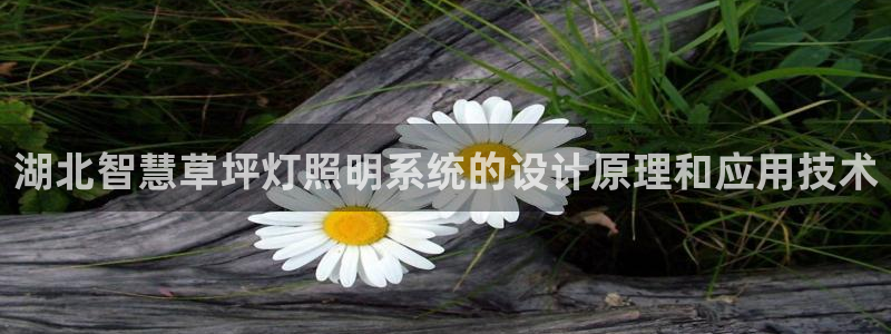 千亿国际登陆:湖北智慧草坪灯照明系统的设计原理和应用技术