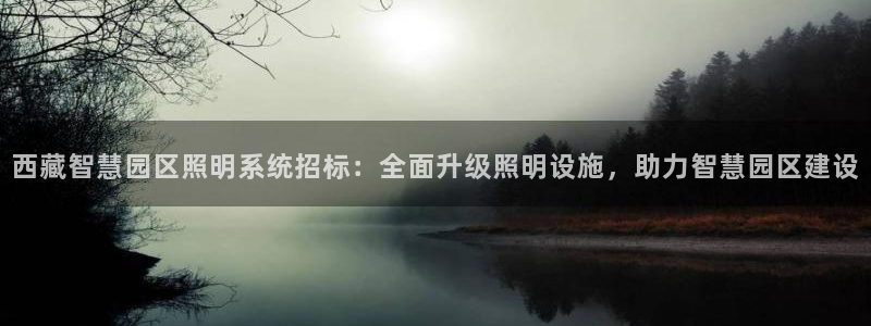 千亿国际平台还存在吗安全吗:西藏智慧园区照明系统招标:全面升级照明设施,助力智慧园区建设