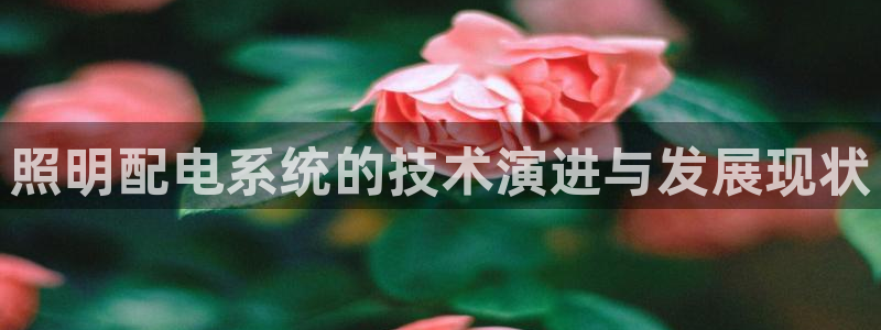 千亿国际电子游戏怎么玩：照明配电系统的技术演进与发展现状
