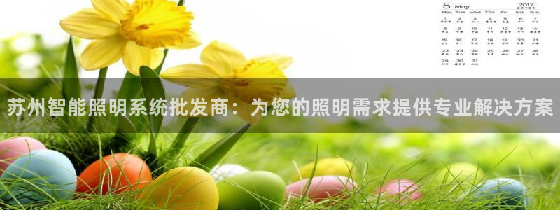千亿国际官方网站下载:苏州智能照明系统批发商:为您的照明需求提供专业解决方案