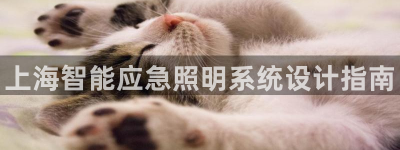qy886千亿国际下载:上海智能应急照明系统设计指南