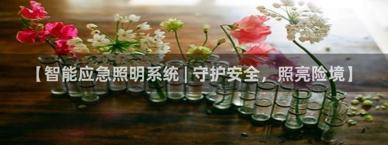 千亿国际唯一官网下载:【智能应急照明系统 | 守护安全,照亮险境】