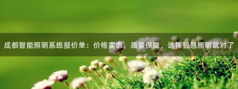 千亿国际网页版:成都智能照明系统报价单:价格实惠,质量保障,选择智慧照明就对了