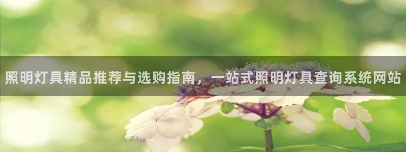 千亿国际手机登录网:照明灯具精品推荐与选购指南,一站式照明灯具查询系统网站
