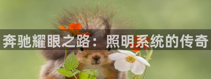 千亿国际内蒙圣懿团队成员名单:奔驰耀眼之路:照明系统的传奇