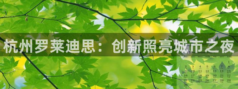 千亿国际唯一：杭州罗莱迪思：创新照亮城市之夜