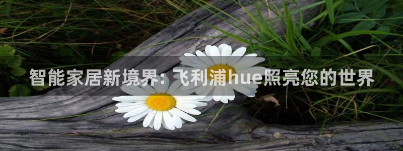 千亿国际游戏:智能家居新境界: 飞利浦hue照亮您的世界