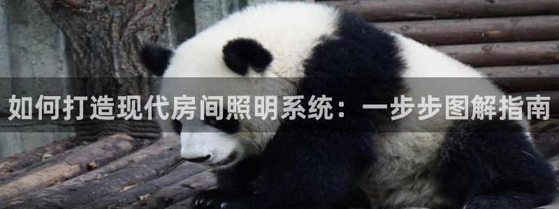 千亿国际2021年1.29更新版pkufli:如何打造现代房间照明系统:一步步图解指南