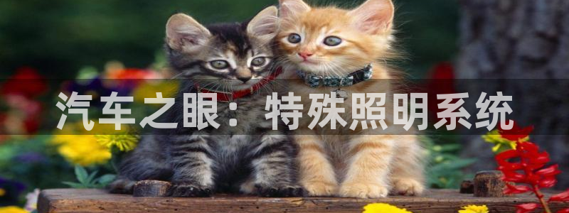 千亿国际在线入口
