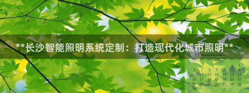 百度千亿国际:**长沙智能照明系统定制:打造现代化城市照明**