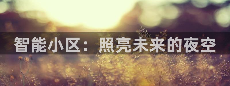 千亿国际qy88：智能小区：照亮未来的夜空